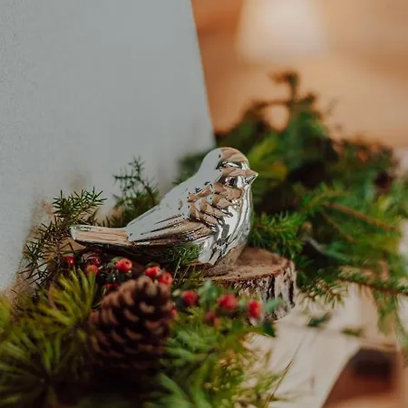 Osada Snozka - W Gorach Z Balia I Kominkiem